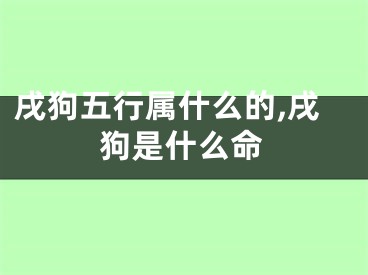 戌狗五行属什么的,戌狗是什么命