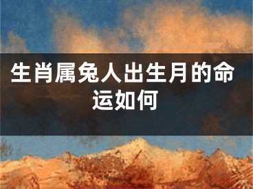 生肖属兔人出生月的命运如何