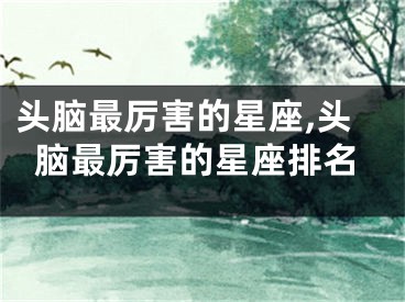 头脑最厉害的星座,头脑最厉害的星座排名