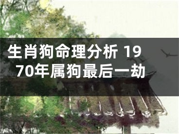 生肖狗命理分析 1970年属狗最后一劫