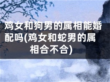 鸡女和狗男的属相能婚配吗(鸡女和蛇男的属相合不合)