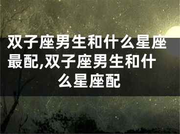 双子座男生和什么星座最配,双子座男生和什么星座配