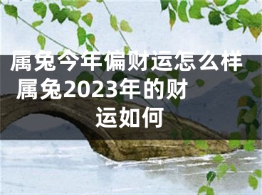 属兔今年偏财运怎么样 属兔2023年的财运如何