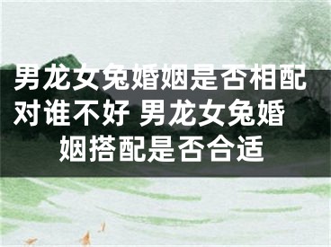 男龙女兔婚姻是否相配对谁不好 男龙女兔婚姻搭配是否合适