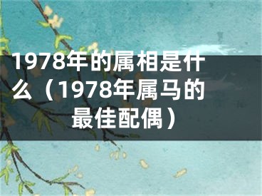1978年的属相是什么（1978年属马的最佳配偶）