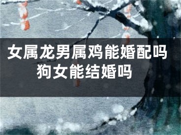 女属龙男属鸡能婚配吗 狗女能结婚吗