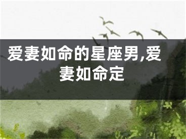 爱妻如命的星座男,爱妻如命定