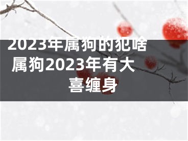 2023年属狗的犯啥 属狗2023年有大喜缠身