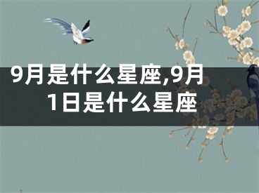 9月是什么星座,9月1日是什么星座