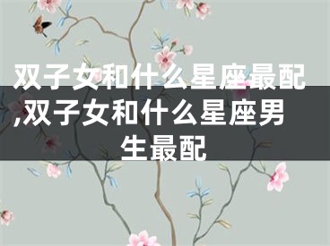 双子女和什么星座最配,双子女和什么星座男生最配