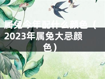 属兔今年配什么颜色（2023年属兔大忌颜色）