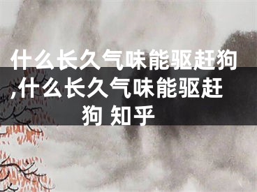 什么长久气味能驱赶狗,什么长久气味能驱赶狗 知乎