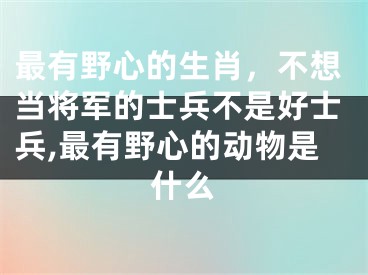 最有野心的生肖，不想当将军的士兵不是好士兵,最有野心的动物是什么
