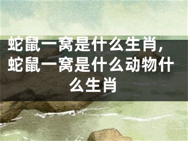 蛇鼠一窝是什么生肖,蛇鼠一窝是什么动物什么生肖
