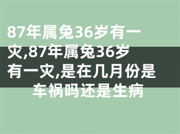 87年属兔36岁有一灾,87年属兔36岁有一灾,是在几月份是车祸吗还是生病