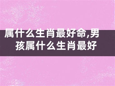 属什么生肖最好命,男孩属什么生肖最好
