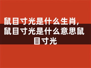 鼠目寸光是什么生肖,鼠目寸光是什么意思鼠目寸光