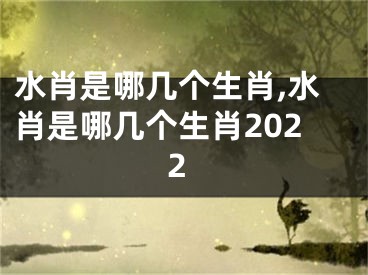 水肖是哪几个生肖,水肖是哪几个生肖2022