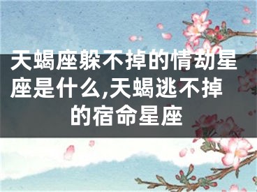 天蝎座躲不掉的情劫星座是什么,天蝎逃不掉的宿命星座