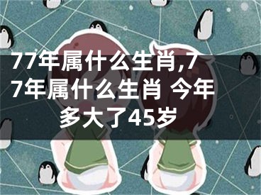 77年属什么生肖,77年属什么生肖 今年多大了45岁
