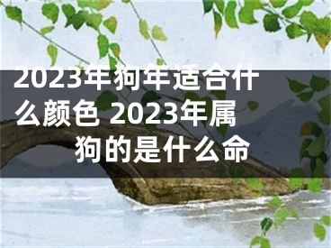 2023年狗年适合什么颜色 2023年属狗的是什么命