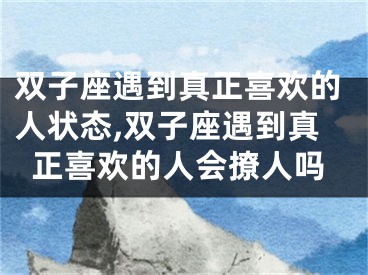 双子座遇到真正喜欢的人状态,双子座遇到真正喜欢的人会撩人吗