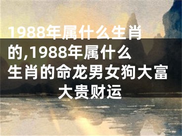 1988年属什么生肖的,1988年属什么生肖的命龙男女狗大富大贵财运