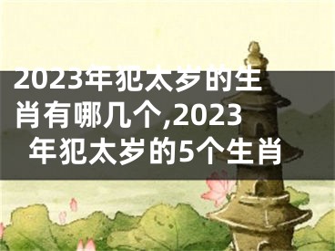 2023年犯太岁的生肖有哪几个,2023年犯太岁的5个生肖