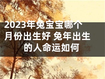 2023年兔宝宝哪个月份出生好 兔年出生的人命运如何
