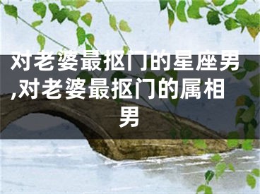 对老婆最抠门的星座男,对老婆最抠门的属相男
