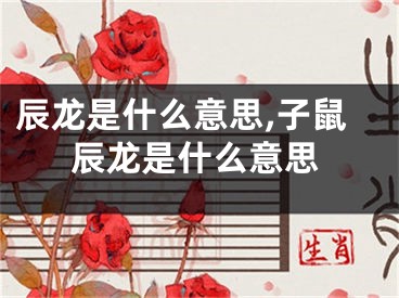 辰龙是什么意思,子鼠辰龙是什么意思