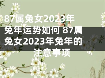 87属兔女2023年兔年运势如何 87属兔女2023年兔年的注意事项