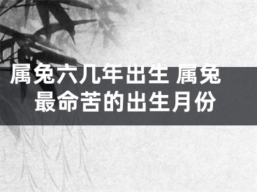 属兔六几年出生 属兔最命苦的出生月份