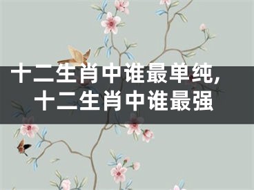 十二生肖中谁最单纯,十二生肖中谁最强