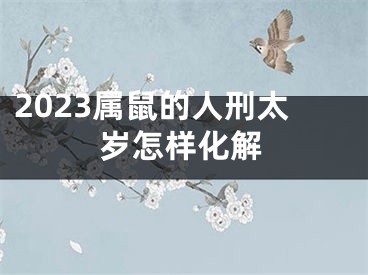 2023属鼠的人刑太岁怎样化解