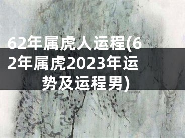 62年属虎人运程(62年属虎2023年运势及运程男)