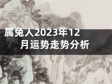 属兔人2023年12月运势走势分析