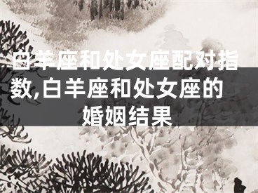 白羊座和处女座配对指数,白羊座和处女座的婚姻结果