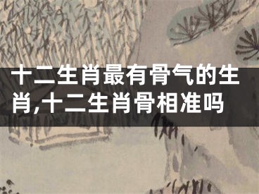 十二生肖最有骨气的生肖,十二生肖骨相准吗