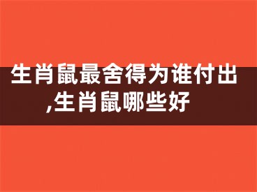 生肖鼠最舍得为谁付出,生肖鼠哪些好