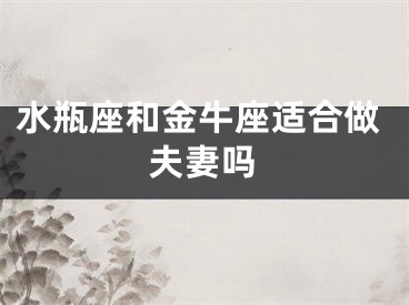 水瓶座和金牛座适合做夫妻吗