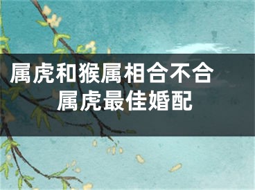 属虎和猴属相合不合 属虎最佳婚配